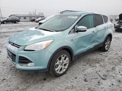 Salvage cars for sale at Airway Heights, WA auction: 2013 Ford Escape SEL