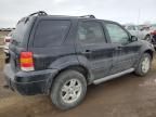 2007 Ford Escape XLT