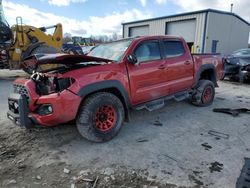 Salvage cars for sale at Duryea, PA auction: 2021 Toyota Tacoma Double Cab