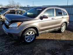 Honda salvage cars for sale: 2009 Honda CR-V EXL