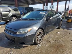 Salvage cars for sale at Riverview, FL auction: 2006 Scion TC