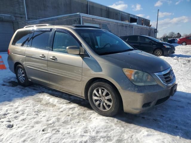 2010 Honda Odyssey EXL