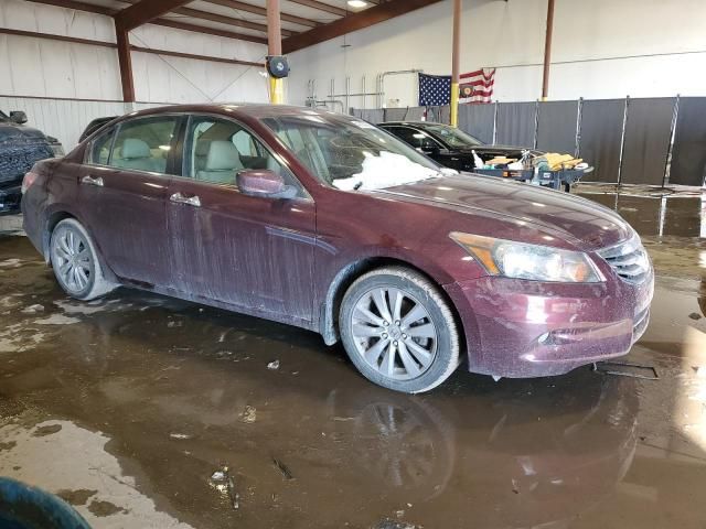 2011 Honda Accord EXL