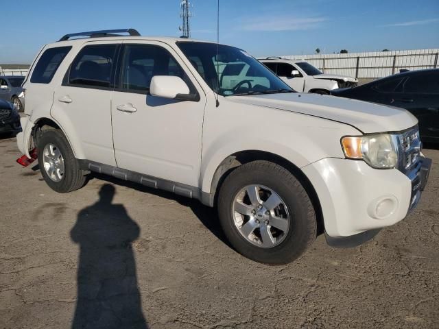 2010 Ford Escape Limited