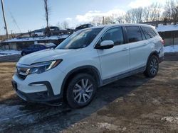 Honda Pilot salvage cars for sale: 2019 Honda Pilot EXL