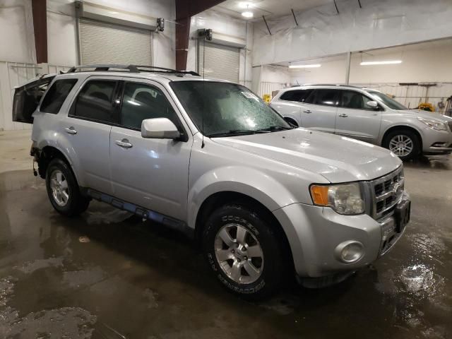 2011 Ford Escape Limited