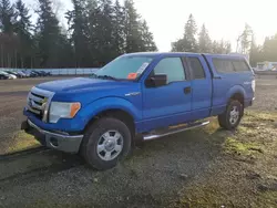 Ford Vehiculos salvage en venta: 2010 Ford F150 Super Cab