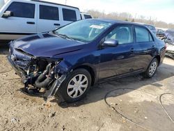 Salvage cars for sale at Louisville, KY auction: 2011 Toyota Corolla Base