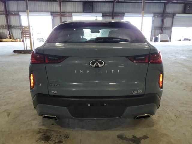 2023 Infiniti QX55 Sensory