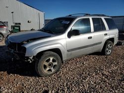 Salvage cars for sale at Rapid City, SD auction: 2005 Chevrolet Trailblazer LS