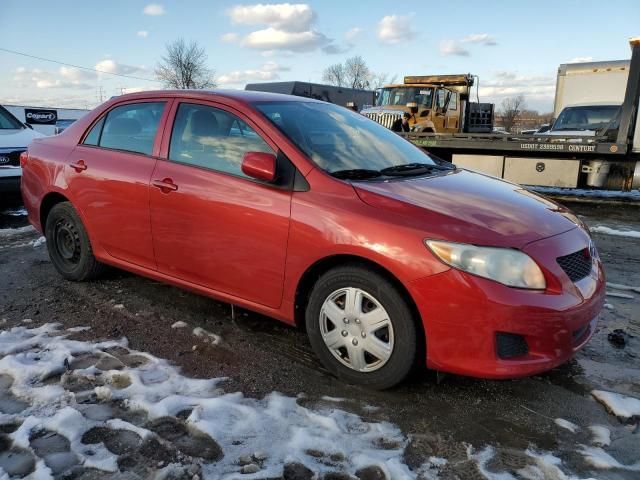 2010 Toyota Corolla Base