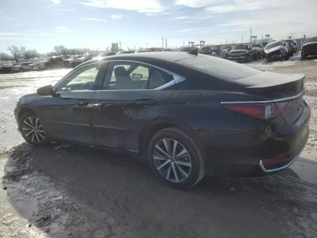 2019 Lexus ES 300H