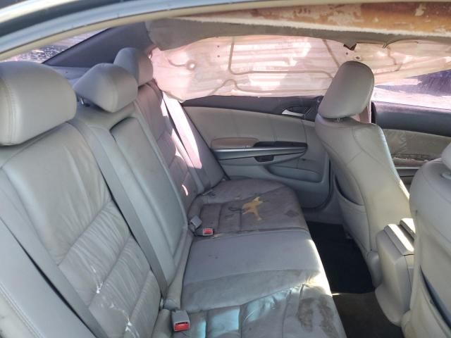 2008 Honda Accord EXL