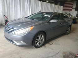 Hyundai Sonata Vehiculos salvage en venta: 2013 Hyundai Sonata SE