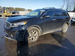 Salvage cars for sale at Dunn, NC auction: 2019 KIA Sorento EX