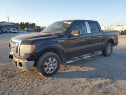 Salvage cars for sale at Harleyville, SC auction: 2009 Ford F150 Supercrew