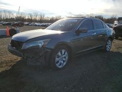 Salvage cars for sale at New Britain, CT auction: 2009 Honda Accord EXL