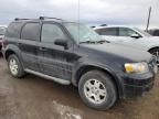 2007 Ford Escape XLT