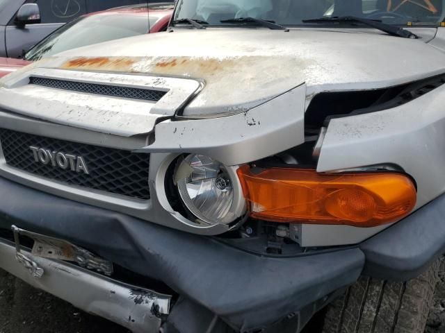 2007 Toyota FJ Cruiser