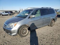 Salvage cars for sale at Airway Heights, WA auction: 2006 Honda Odyssey EXL