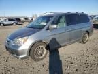 2006 Honda Odyssey EXL