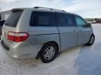 2005 Honda Odyssey EXL