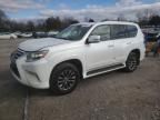 2015 Lexus GX 460 Premium