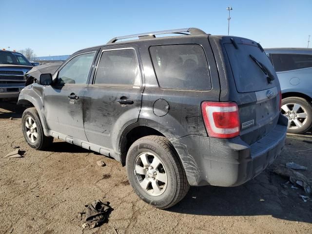 2009 Ford Escape Limited