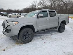 Toyota salvage cars for sale: 2021 Toyota Tacoma Double Cab