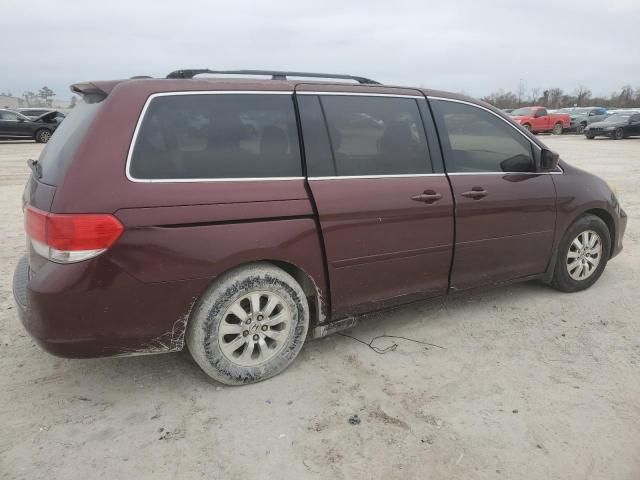 2008 Honda Odyssey EXL