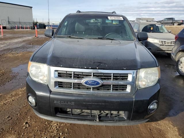 2011 Ford Escape XLT