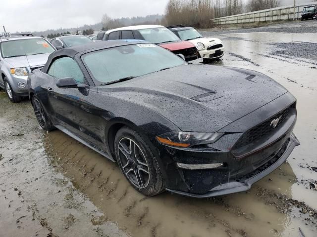 2023 Ford Mustang