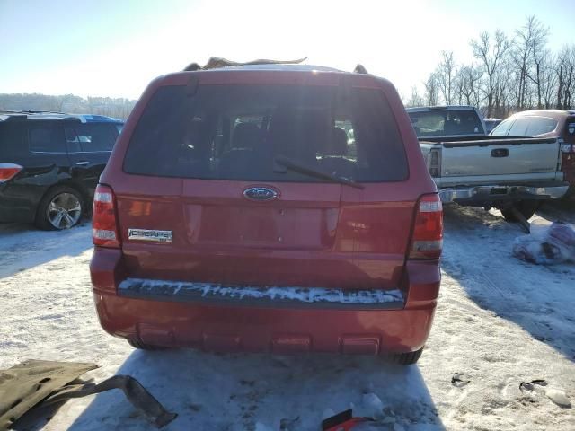 2008 Ford Escape XLT