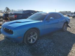 Salvage cars for sale at Tifton, GA auction: 2019 Dodge Challenger SXT