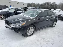 Vehiculos salvage en venta de Copart Cookstown, ON: 2019 Hyundai Sonata Limited