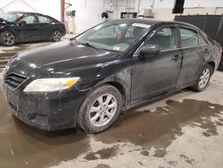 Toyota salvage cars for sale: 2010 Toyota Camry Base