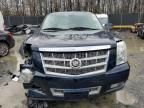 2008 Cadillac Escalade Luxury