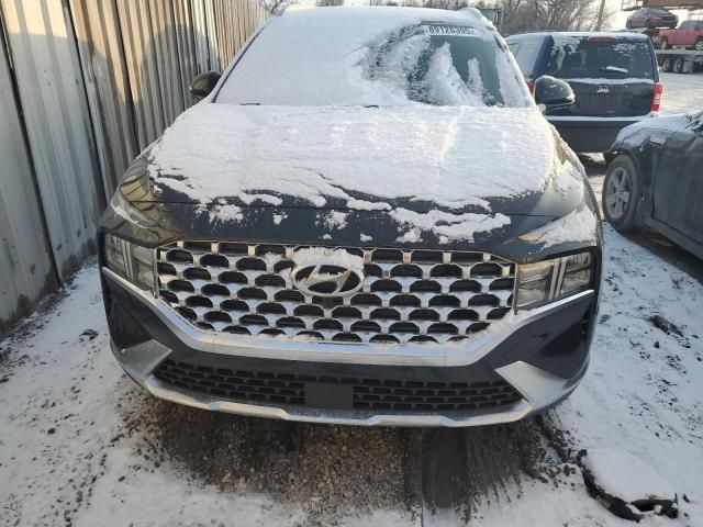 2023 Hyundai Santa FE SEL Premium