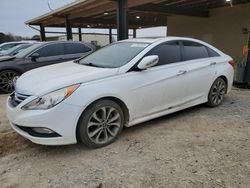 Salvage cars for sale at auction: 2014 Hyundai Sonata SE