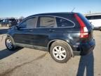 2009 Honda CR-V EXL