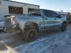 2023 Chevrolet Silverado K1500 Trail Boss Custom