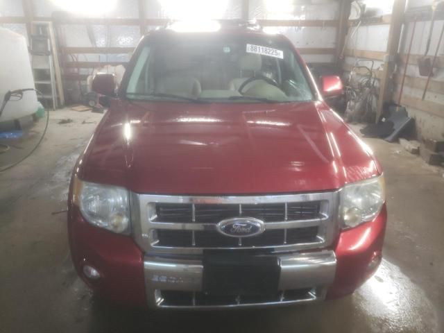 2008 Ford Escape Limited