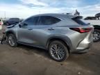 2024 Lexus NX 350H Base