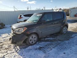 Vehiculos salvage en venta de Copart Albany, NY: 2013 KIA Soul