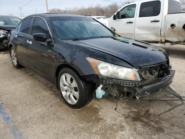 2010 Honda Accord EXL