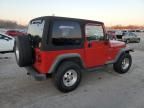 1998 Jeep Wrangler / TJ Sport