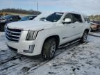 2016 Cadillac Escalade ESV Luxury