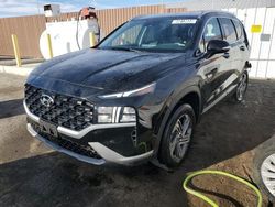 Salvage cars for sale at North Las Vegas, NV auction: 2023 Hyundai Santa FE SEL