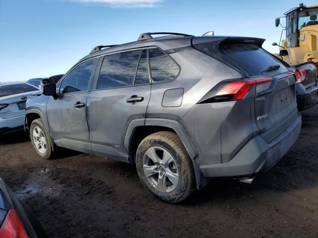 2019 Toyota Rav4 XLE