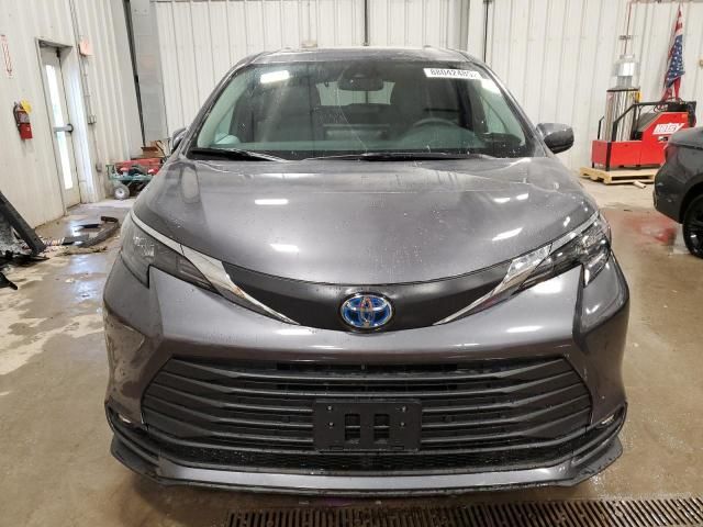 2025 Toyota Sienna XLE